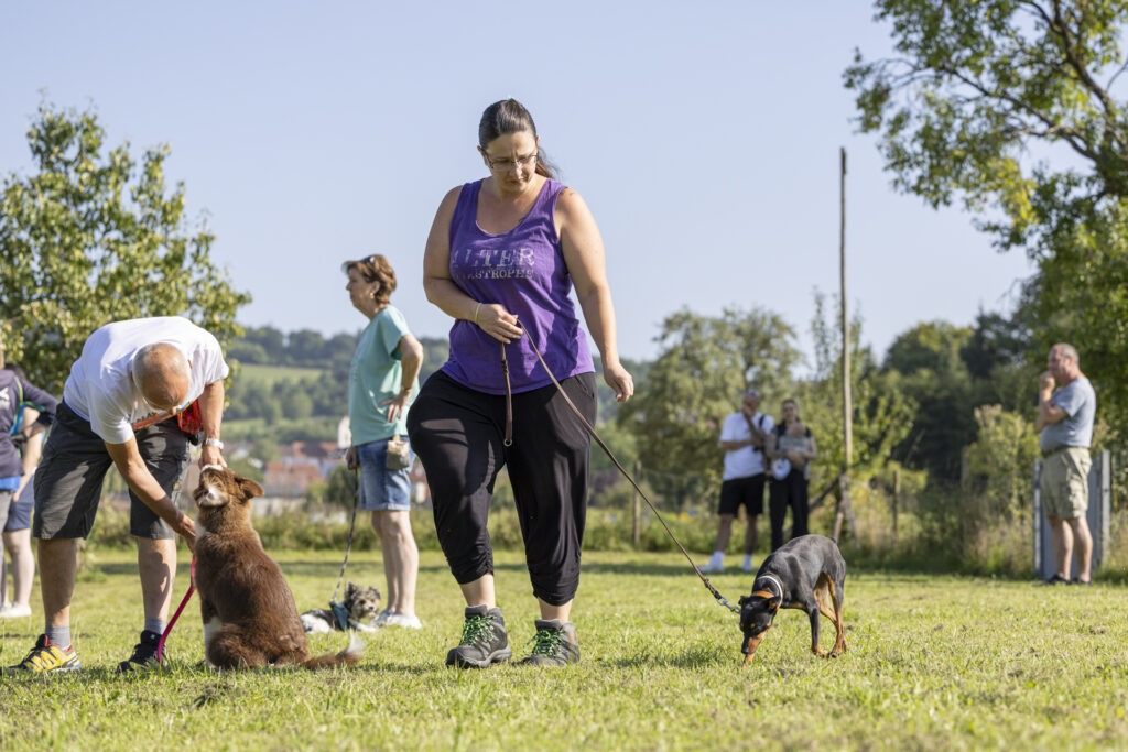 Welpengruppe Hundeausbildungs-Zentrum WiWa Kirchen e.V.