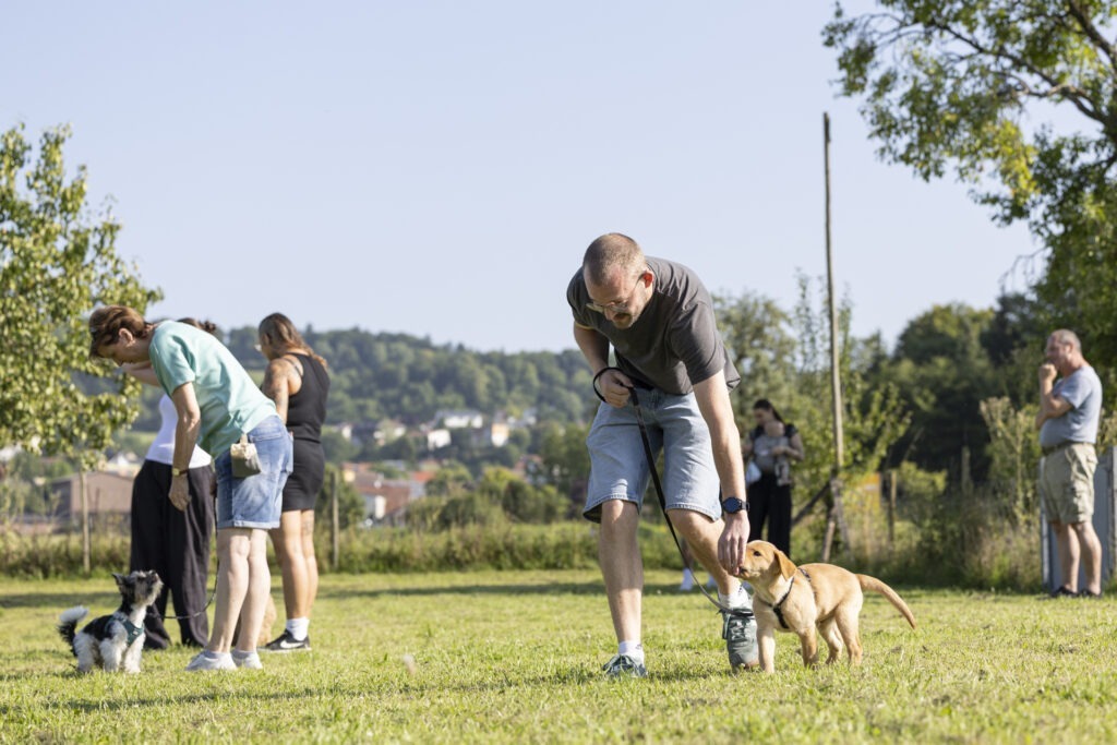 Welpengruppe Hundeausbildungs-Zentrum WiWa Kirchen e.V.
