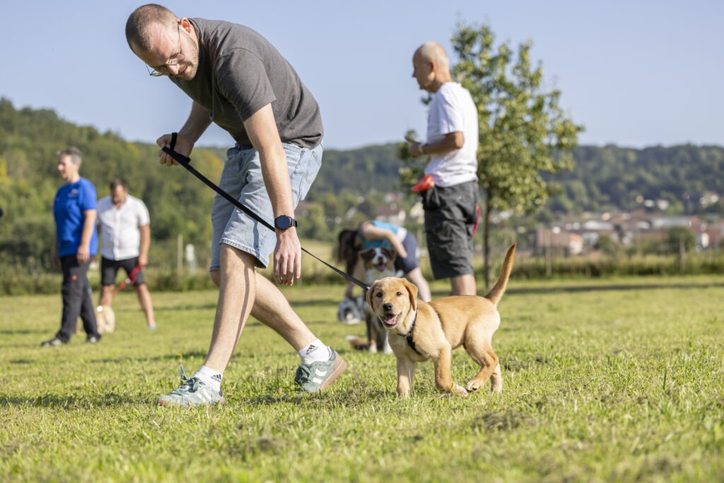 Welpengruppe Hundeausbildungs-Zentrum WiWa Kirchen e.V.