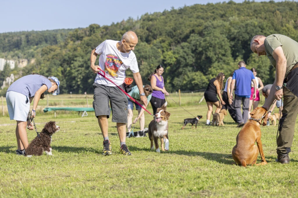 Welpengruppe Hundeausbildungs-Zentrum WiWa Kirchen e.V.