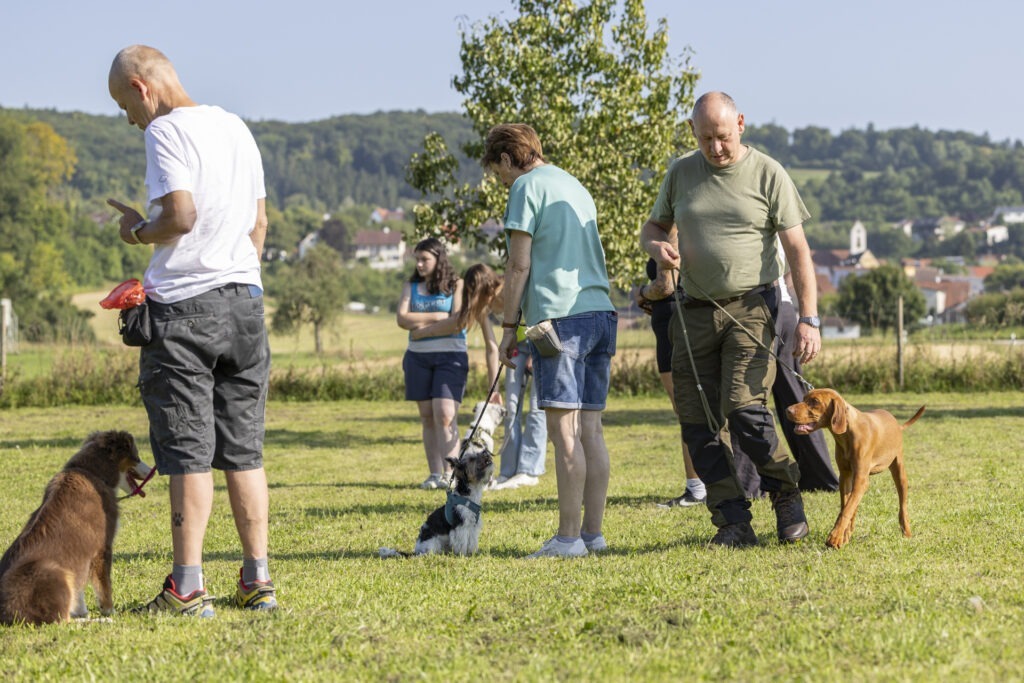 Welpengruppe Hundeausbildungs-Zentrum WiWa Kirchen e.V.