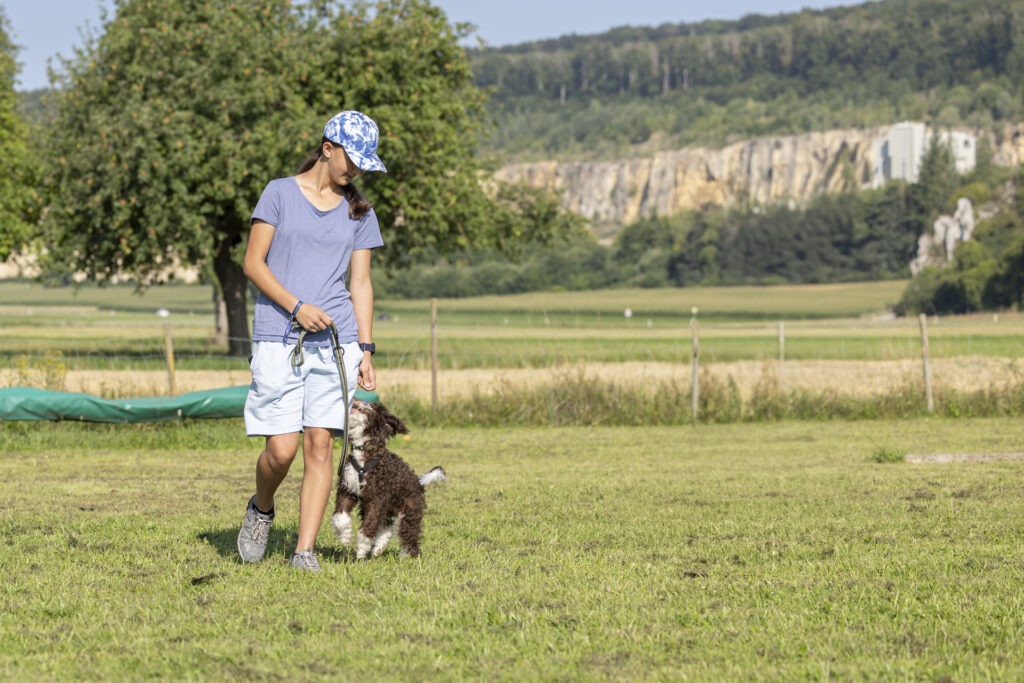 Welpengruppe Hundeausbildungs-Zentrum WiWa Kirchen e.V.