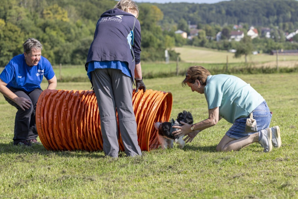 Welpengruppe Hundeausbildungs-Zentrum WiWa Kirchen e.V.