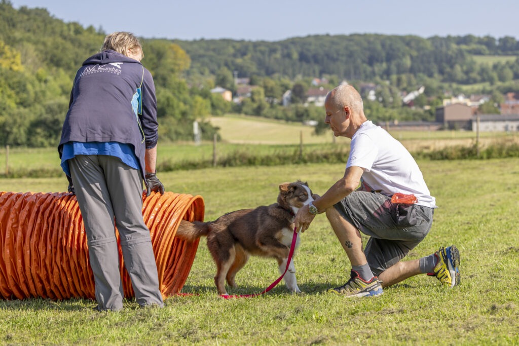 Welpengruppe Hundeausbildungs-Zentrum WiWa Kirchen e.V.