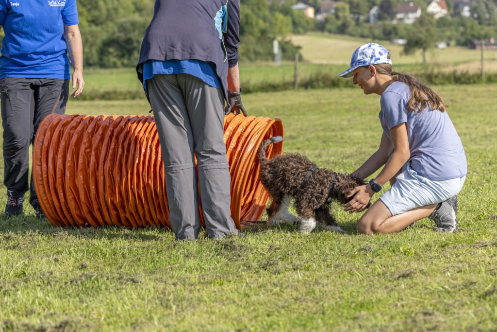 Welpengruppe Hundeausbildungs-Zentrum WiWa Kirchen e.V.