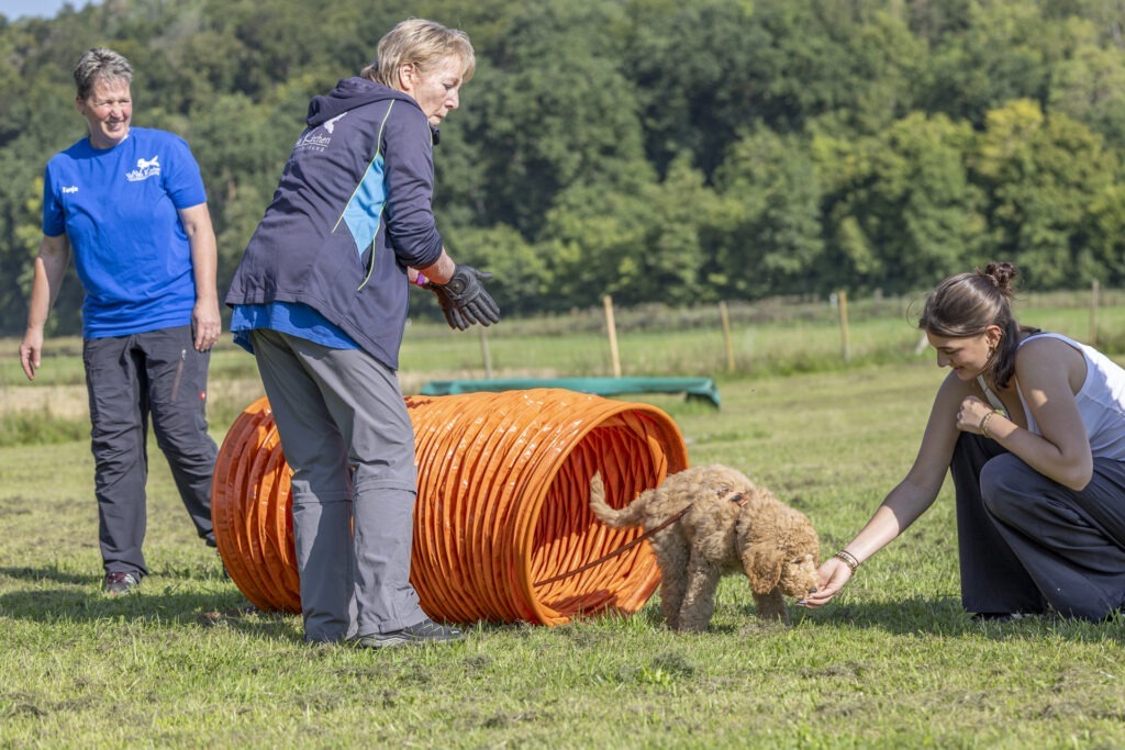 Welpengruppe Hundeausbildungs-Zentrum WiWa Kirchen e.V.