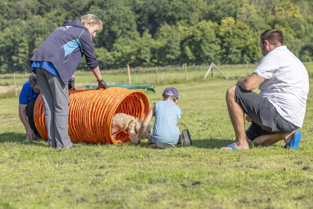 Welpengruppe Hundeausbildungs-Zentrum WiWa Kirchen e.V.