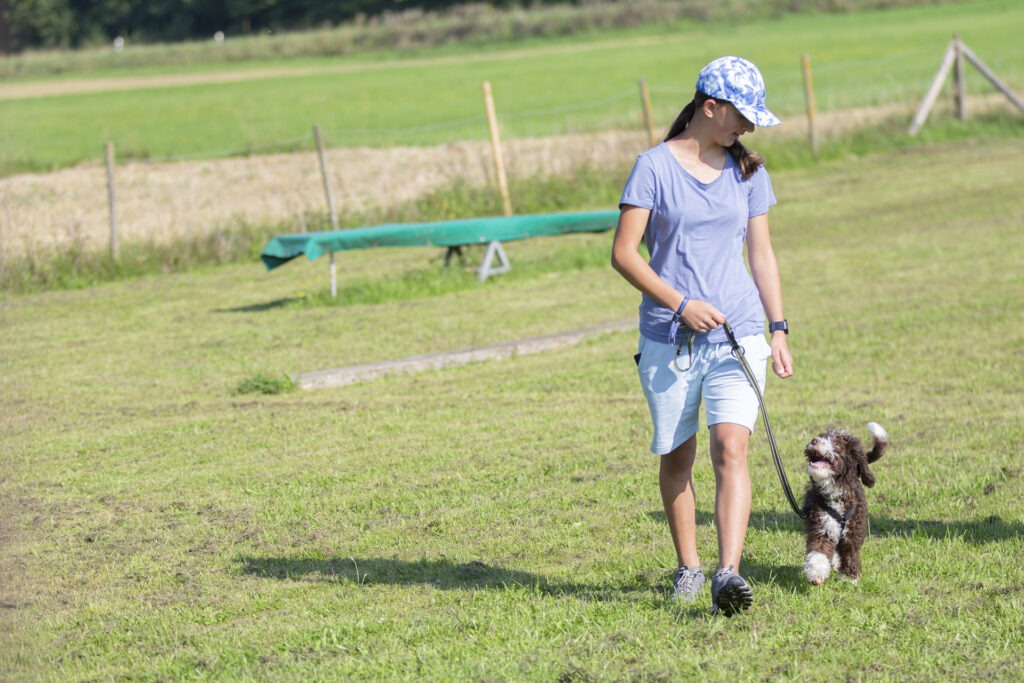 Welpengruppe Hundeausbildungs-Zentrum WiWa Kirchen e.V.