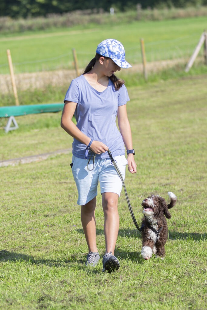 Welpengruppe Hundeausbildungs-Zentrum WiWa Kirchen e.V.