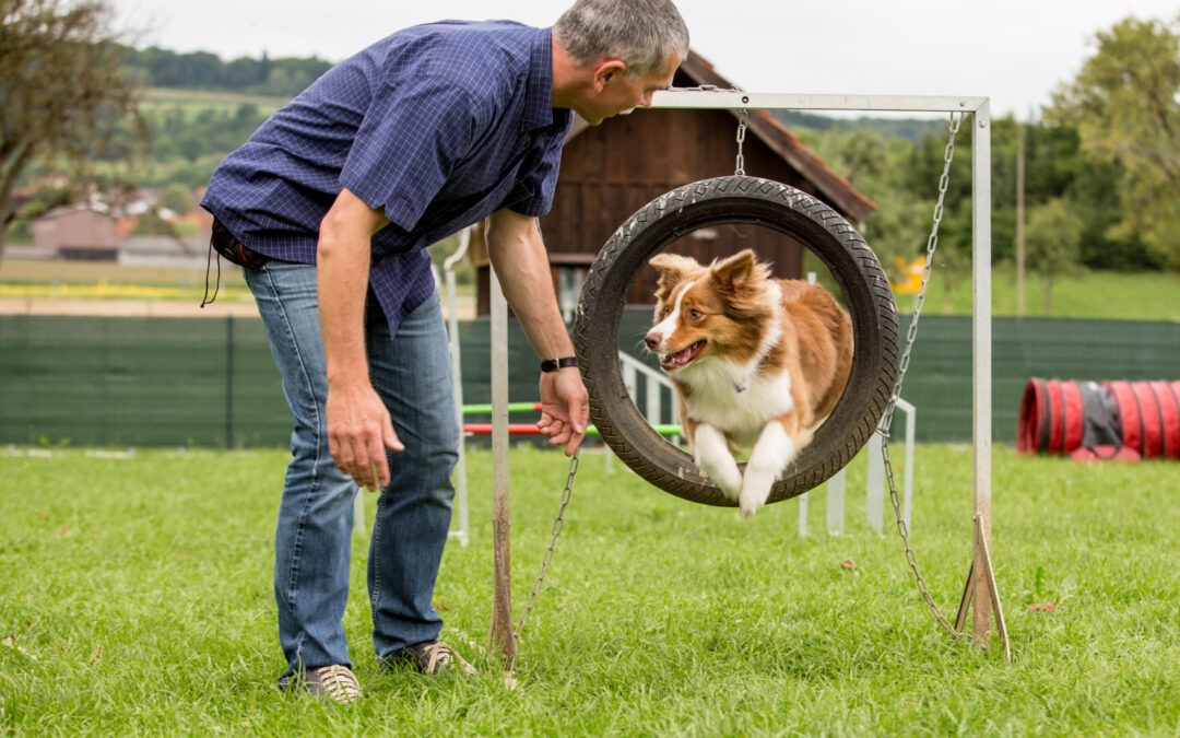 Agility