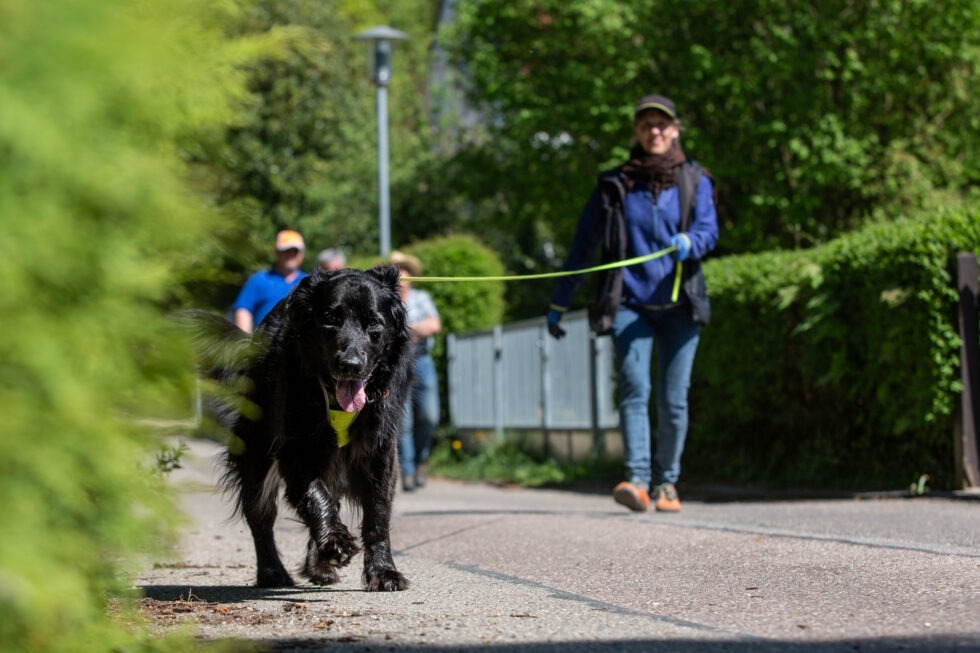 WiWa-Faehrten-BEP_9058--980x653