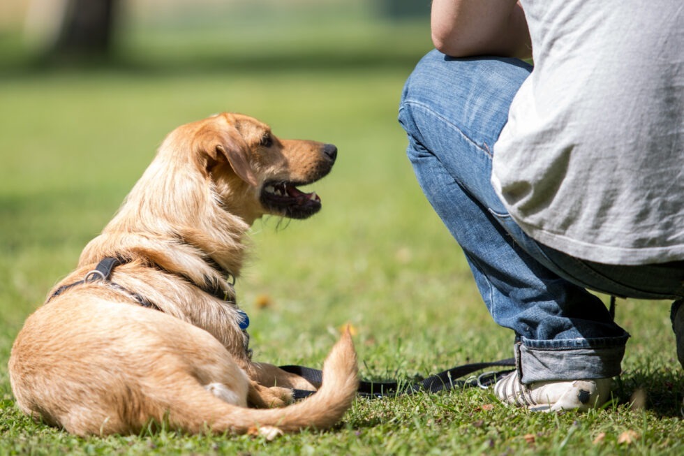 WiWa-Heimatbuch-PRINT-BEP_3656_-980x653