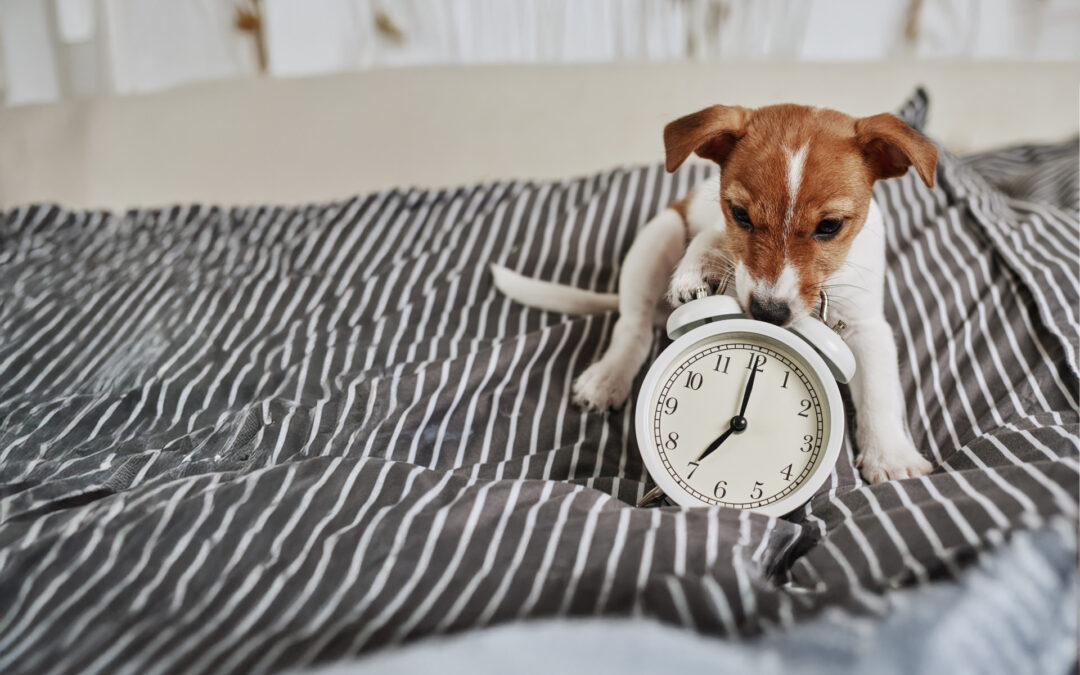 Aktuelle Übungszeiten