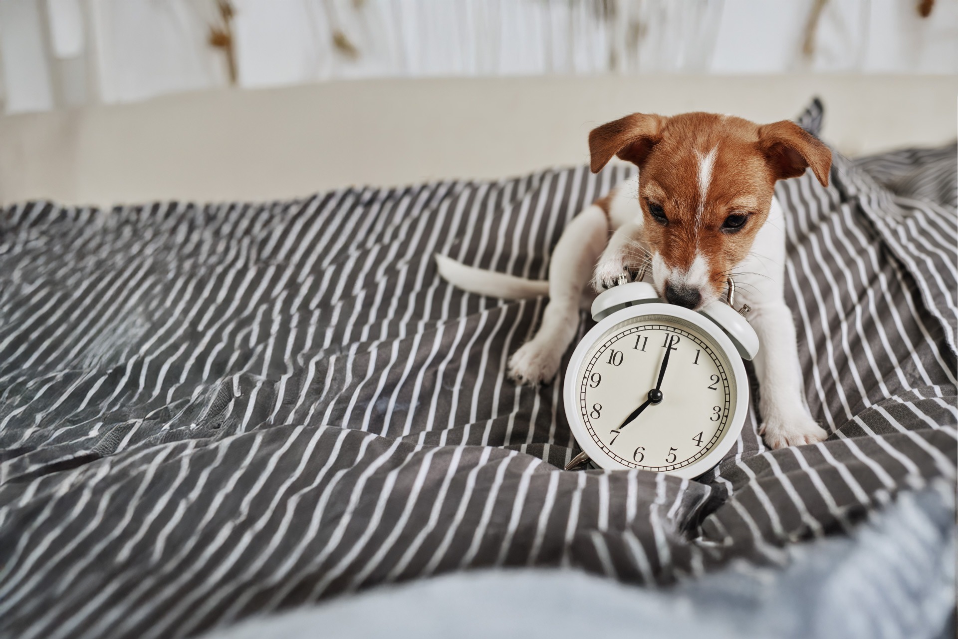 Alle Übungszeiten für unsere Kurse