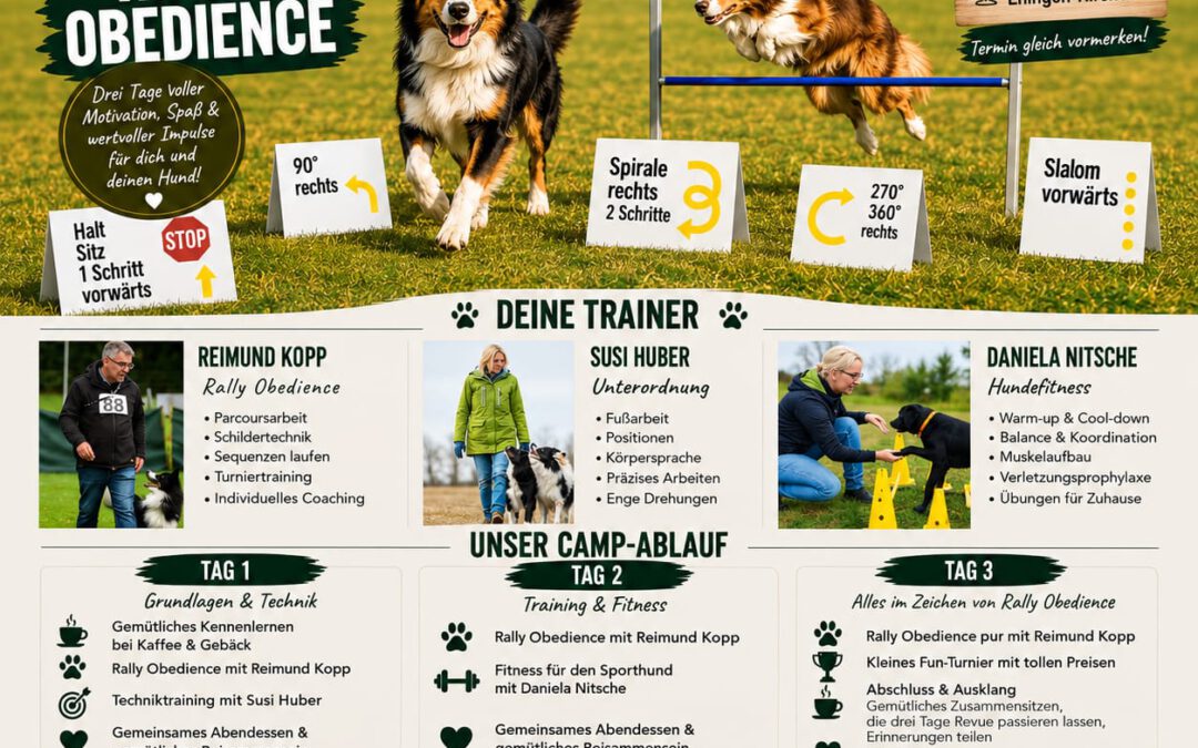 TrainingCamp 2027 – AUSGEBUCHT